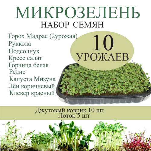 ������ ������ ����� ��� ����������� ����������� 