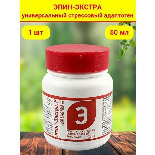 ������ ������ ����-������ ��������� ����� � �������� ��������, ��������� ������������, 50 ��, ����