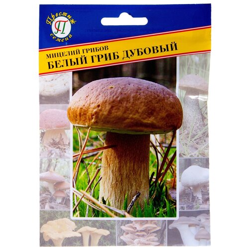 ������ ������ ������ ���� ����� �������� ����