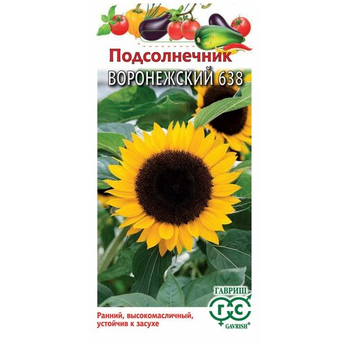 ������ ������ ������, ������, ������������, ����������� 638, 10 ����� ����