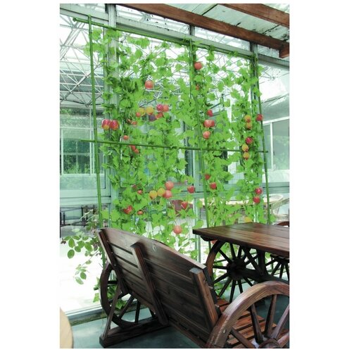 ������ ������ ����� ��� ���������2.1� ����