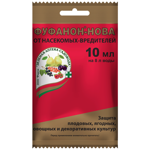 ������ ������ ������� ������ �������� �������� ��� ������ � ����������� �������-����, 10 ��, 10 � ����