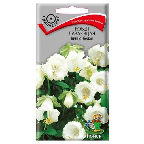 ������ ������ ������ ����� ����� �������� �����-����� 5 ��. ����