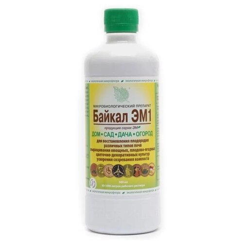 ������ ������ ��������� ��-���������� ������ ��1, 0.5 �, 545 �, 1 ��. ����