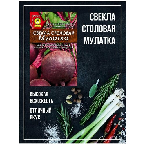 ������ ������ ������ ������ 