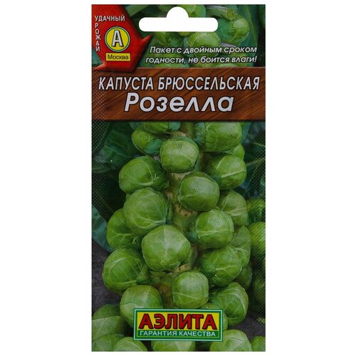 ������ ������ ������ ������� ������������ ������� ����