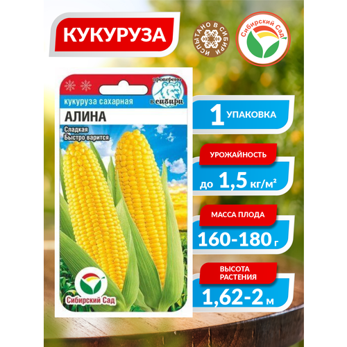 ������ ������ ������ �������� ����� ������������ 6 ��./����. ����