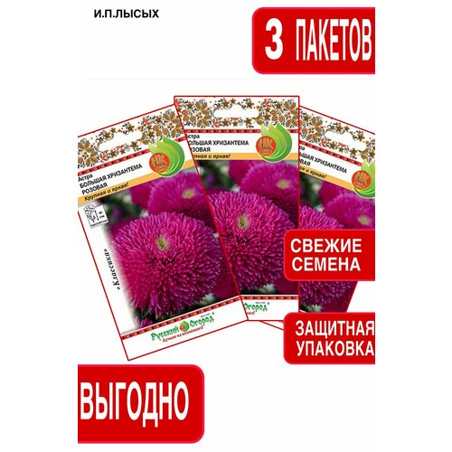 ������ ������ ������ ����� ������� ���������� ������� ����