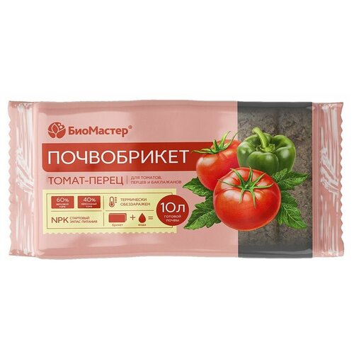 ������ ������ ����������� ��������� ����� � �����, 10 � ����