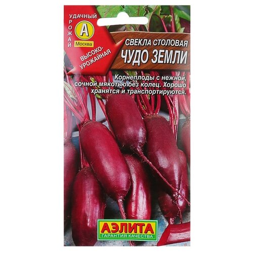 ������ ������ ��������� ������ ������ �������� ���� ����� 3 � ����