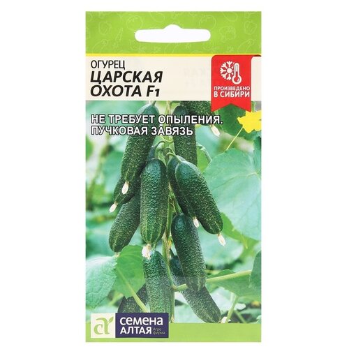 ������ ������ ������ ������ ����� ������ ������� ����� F1 6 ��. ����