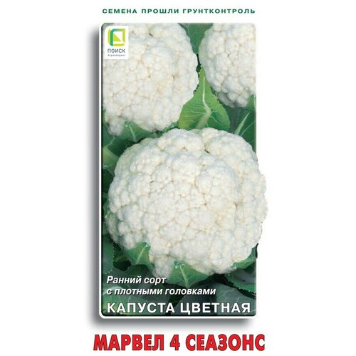 ������ ������ ������ ������� ������� ������ 4 ������� 0,5 ��. ����