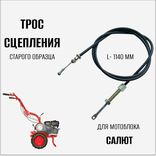 ������ ������ ���� ��������� ��� ��������� 