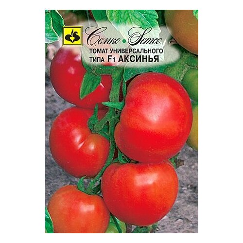 ������ ������ ������ ����� ������� F1 10�� ������� ������ (�����) ����