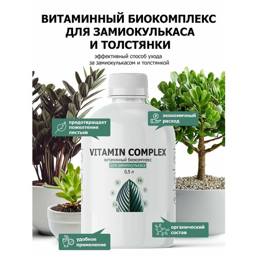 ������ ������ ���������� ����������� ��� ������������� Purshat 500 �� ����