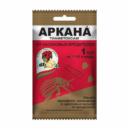 ������ ������ ������ 1�� �� ��������� ���������� ����