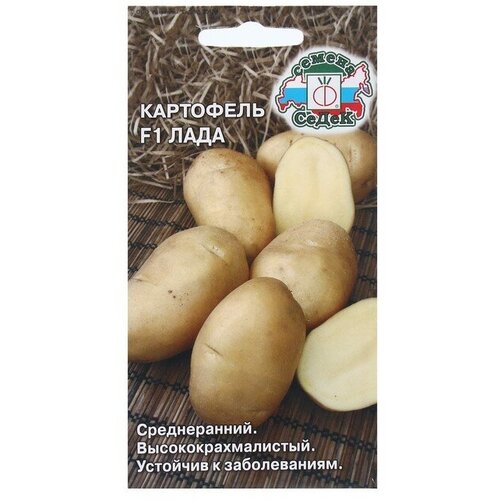 ������ ������ ������ ��������� ���� F1, 0,02 ����