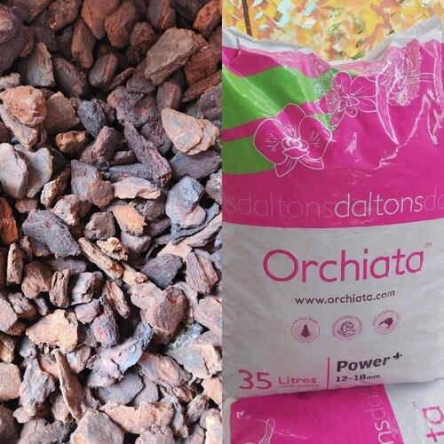 ������ ������ ������� ����� ����, ������� 12-18�� 2� ����