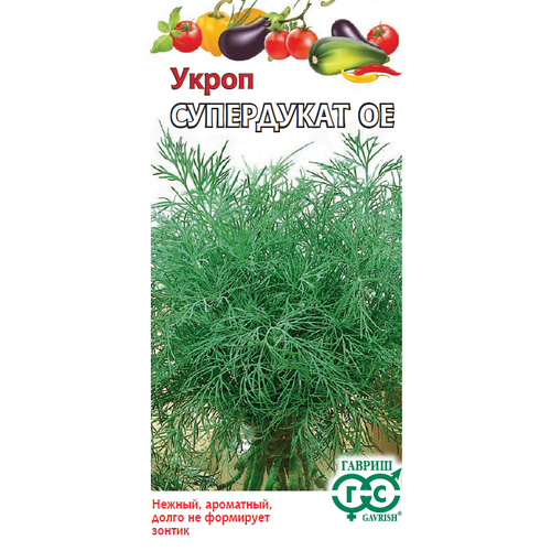 ������ ������ ������ ����� ���������� �� 3� (������) ����