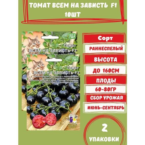 ������ ������ ����� ���� �� ������� F1, 10 ����� 2 �������� ����