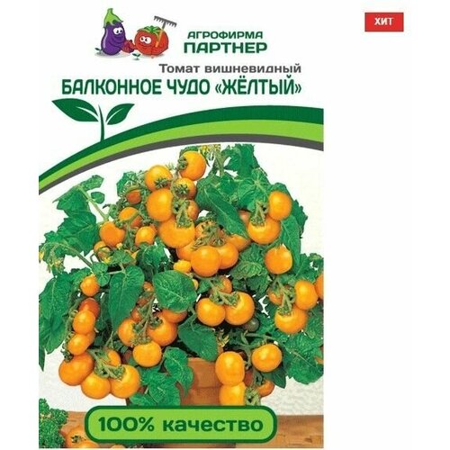 ������ ������ ����� ����������� ��������� ���� 