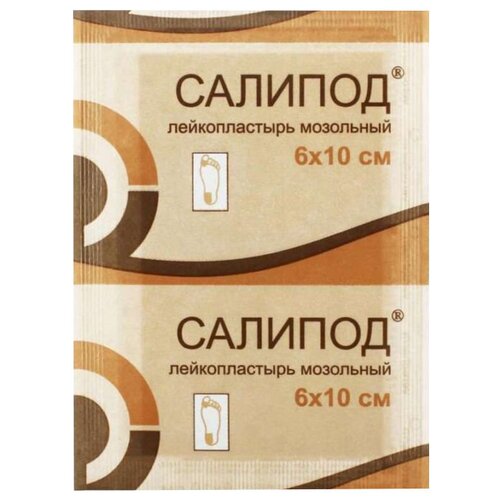 ������ ������ �������� ������� ������������� ��������� 6�10 �� ����� ����