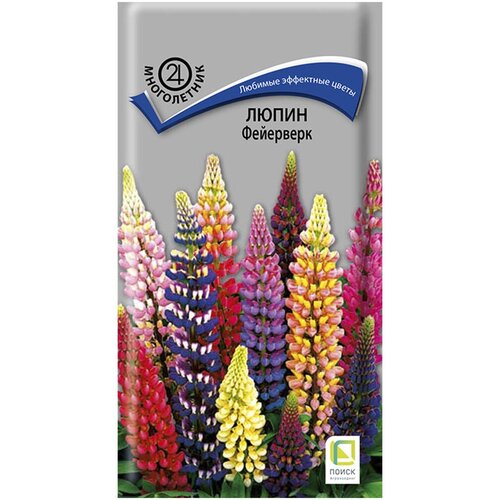 ������ ������ ����� ��������� ����