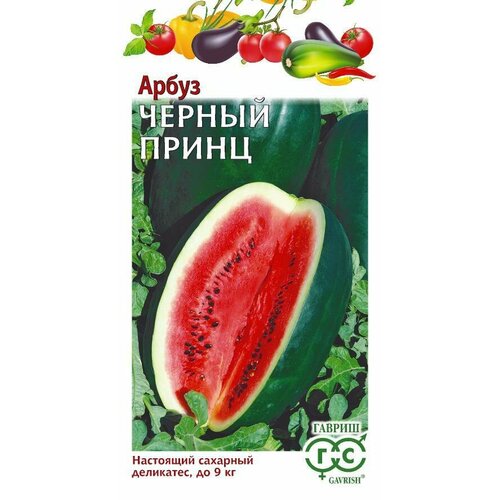 ������ ������ ������ ����� ������ ����� 1� (������) ����