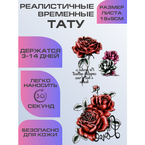 ������ ������ ���� ���������� ��������������, ��������� ���� ����