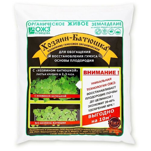 ������ ������ ������������� � �������� ������������ ����������� � ���������� ����� � 1 �� ����