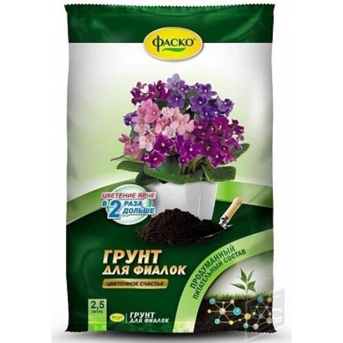 ������ ������ ����� ��� ������ ����� ��������� ������� 2,5� ����