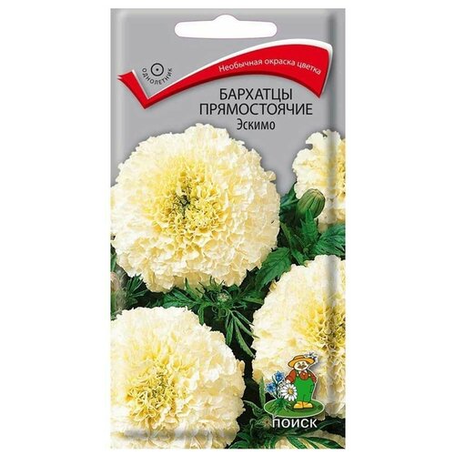 ������ ������ ������ ��������� ����� ������ 1 � ����