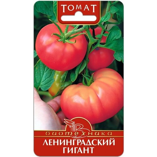 ������ ������ ������ ����� ������������� ������ 25�� ��� ������ (����������) ����