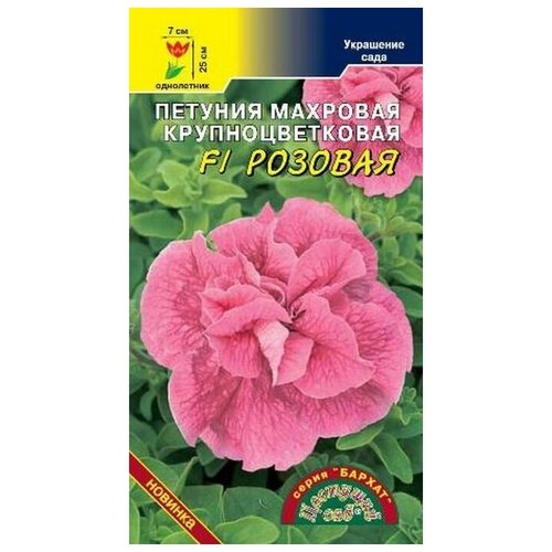 ������ ������ ������ �������� ��� 