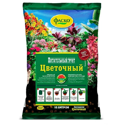 ������ ������ ����� ����� ���������, 10 �, 4 �� ����