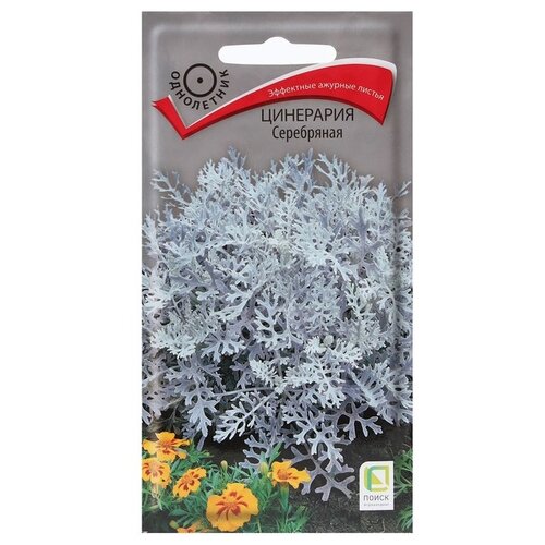 ������ ������ ������ ����� ��������� ���������� 0.2 � ����