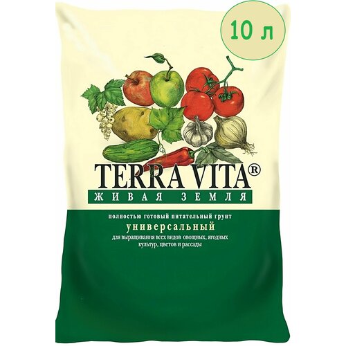 ������ ������ ����� ���� ����� ����� 10� ������������� . ����