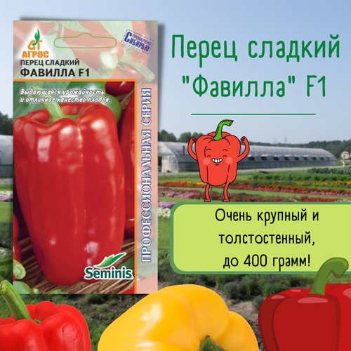 ������ ������ ������ ����� 