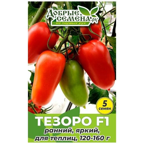 ������ ������ ������ ������ ������ F1 - 5 �� - ������ ������. �� ����