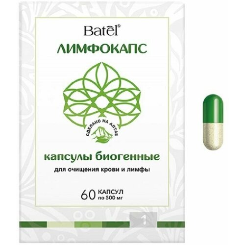 ������ ������ ��������� ������� �������� ����� � ����� 60 ���� ����