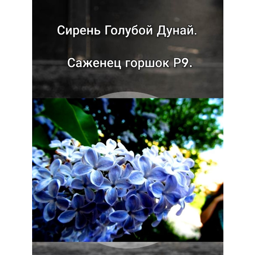 ������ ������ ������ ������� �����. ����