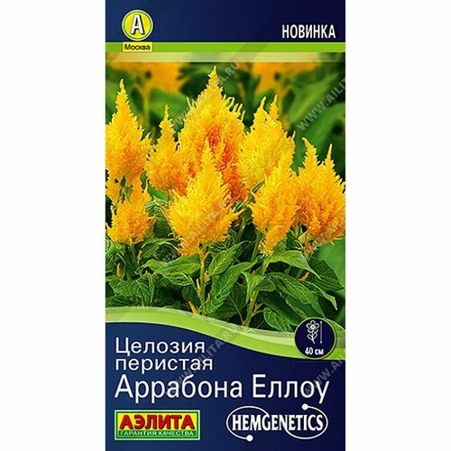 ������ ������ ������ ������� �������� �����, ����������, (������) 7�� Hem Genetics ����