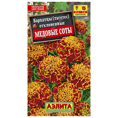 ������ ������ ������ ��������� ������ �������� ������� ���� ����������� 0.3 � ����