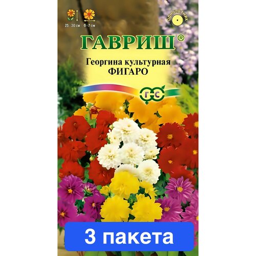 ������ ������ ����� �������� ������ 3 ������ ����