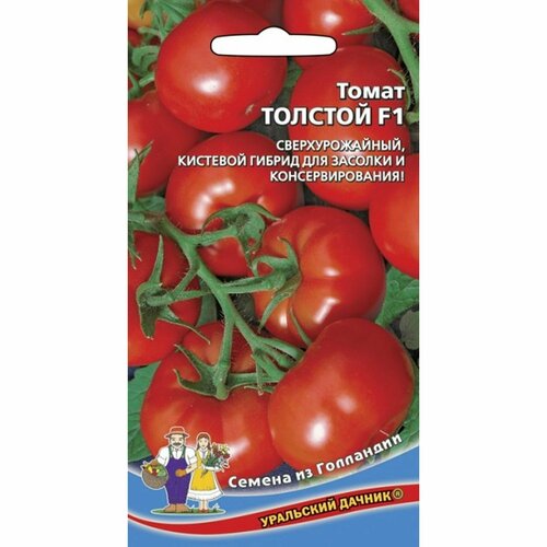 ������ ������ ������ ����� ������� F1 (��������� ������) 10�� ����