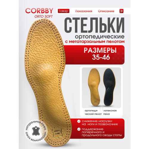 ������ ������ ������� �������������� Orto Soft ����