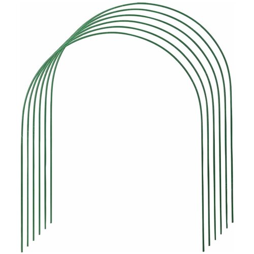 ������ ������ ���� ���������� ��������, ������, ��� ��������, 2 �����, 6 ���� ����