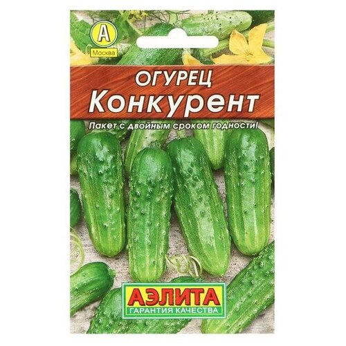 ������ ������ ������. ������ 