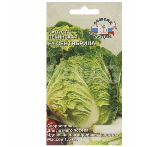 ������ ������ ������� ��������� ���������� F1 (0,3 �) 1 ����� ����