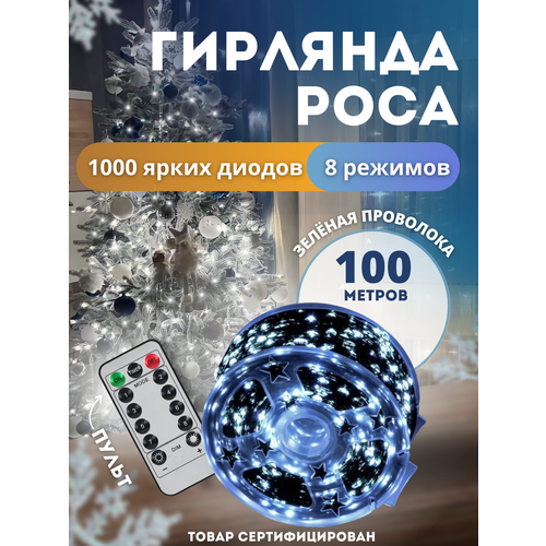 ������ ������ �������� ���� 100 ������ ������� ��������� �������� �������� ����